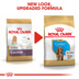 ROYAL CANIN Cocker Puppy Welpenfutter trocken