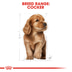 ROYAL CANIN Cocker Puppy Welpenfutter trocken