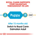 ROYAL CANIN Dalmatian Puppy Welpenfutter für Dalmatiner