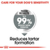 ROYAL CANIN DENTAL CARE MEDIUM Trockenfutter für mittelgroße Hunde mit empfindlichen Zähnen