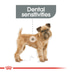 ROYAL CANIN DENTAL CARE MINI Trockenfutter für kleine Hunde mit empfindlichen Zähnen