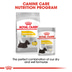 ROYAL CANIN DERMACOMFORT MINI Trockenfutter für kleine Hunde mit empfindlicher Haut