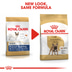 ROYAL CANIN French Bulldog Adult Hundefutter trocken für Französische Bulldoggen