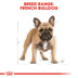 Royal Canin Hundefutter French Bulldog Adult 2x9kg