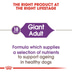 ROYAL CANIN GIANT Adult Trockenfutter für sehr große Hunde