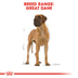 ROYAL CANIN Great Dane Adult Hundefutter trocken für Deutsche Doggen