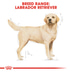 ROYAL CANIN Labrador Retriever Adult Hundefutter trocken