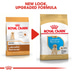 ROYAL CANIN Labrador Retriever Puppy Welpenfutter trocken