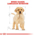 ROYAL CANIN Labrador Retriever Puppy Welpenfutter trocken