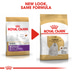 ROYAL CANIN Maltese Adult Hundefutter trocken