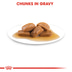 ROYAL CANIN MAXI ADULT Nassfutter für große Hunde