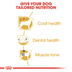 ROYAL CANIN Poodle Adult Hundefutter trocken für Pudel