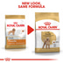 ROYAL CANIN Poodle Adult Hundefutter trocken für Pudel