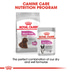 ROYAL CANIN RELAX CARE MEDIUM Trockenfutter für mittelgroße Hunde in unruhigem Umfeld