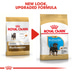 ROYAL CANIN Rottweiler Puppy Welpenfutter trocken