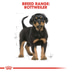 ROYAL CANIN Rottweiler Puppy Welpenfutter trocken