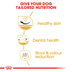 ROYAL CANIN Shih Tzu Adult Hundefutter trocken