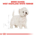 ROYAL CANIN West Highland White Terrier Adult Hundefutter trocken