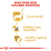 ROYAL CANIN BHN Yorkshire Terrier Adult