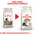 ROYAL CANIN AGEING 12+ Trockenfutter für ältere Katzen