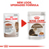 ROYAL CANIN AGEING 12+ für Katzen
