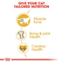 ROYAL CANIN ADULT British Shorthair 10kg + Nassfutter in Soße 48x85g