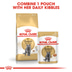 ROYAL CANIN British Shorthair Katzenfutter trocken für Britisch Kurzhaar