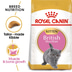 ROYAL CANIN KITTEN British Shorthair 2kg + Kitten in Soße 12x85g