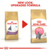 ROYAL CANIN British Shorthair Kittenfutter trocken für Kätzchen