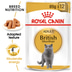 ROYAL CANIN ADULT British Shorthair 10kg + Nassfutter in Soße 48x85g