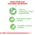 Royal Canin FCN Digest Sensitive Gravy