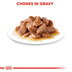 Royal Canin FCN Digest Sensitive Gravy