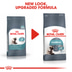 ROYAL CANIN Hairball Care Katzenfutter trocken gegen Haarballen