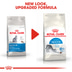 ROYAL CANIN INDOOR 27 Trockenfutter für Wohnungskatzen