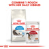 ROYAL CANIN INDOOR Longhair Trockenfutter für Wohnungskatzen mit langem Fell