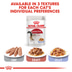 ROYAL CANIN INSTINCTIVE Katzenfutter nass in Gelee