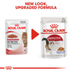 ROYAL CANIN INSTINCTIVE Katzenfutter nass in Gelee