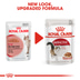 ROYAL CANIN INSTINCTIVE Katzenfutter nass in Soße