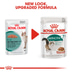 ROYAL CANIN INSTINCTIVE 7+ Nassfutter in Soße für ältere Katzen