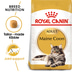 ROYAL CANIN ADULT Maine Coon 2kg + Nassfutter in Soße 12x85g