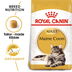 ROYAL CANIN ADULT Maine Coon 10kg + Nassfutter in Soße 48x85g