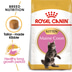 ROYAL CANIN KITTEN Maine Coon 4kg + Kitten in Soße 12x85g