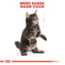 ROYAL CANIN KITTEN Maine Coon 4kg + Kitten in Soße 12x85g