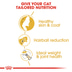 ROYAL CANIN Norwegian Forest Cat Adult Trockenfutter für Norwegische Waldkatzen