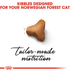 ROYAL CANIN Norwegian Forest Cat Adult Trockenfutter für Norwegische Waldkatzen