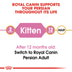 Royal Canin Katzenfutter Kitten Persian