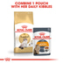 ROYAL CANIN Ragdoll Adult Katzenfutter trocken