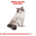 ROYAL CANIN Ragdoll Adult Katzenfutter trocken