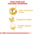 ROYAL CANIN Siamese Adult Katzenfutter trocken