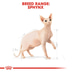 ROYAL CANIN Sphynx Adult Katzenfutter trocken